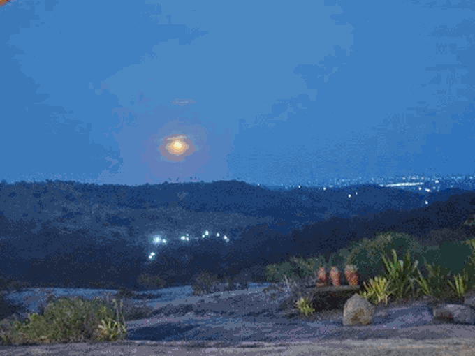 gif de fotos de bananeiras